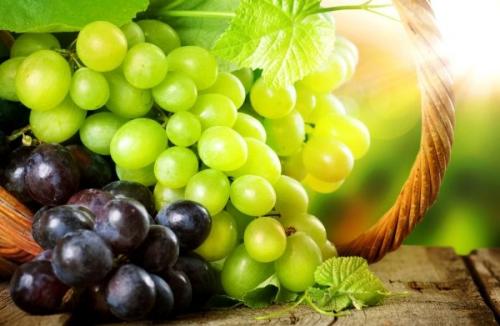 Как хранить недозревший виноград. Недозрелый виноград использование