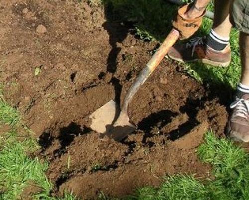 Как быстро вскопать целину. Целина под огород —, как разработать и как перекапывать землю