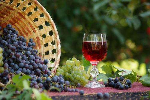 Кислотность почвы для винограда. Какая почва нужна для винограда 03