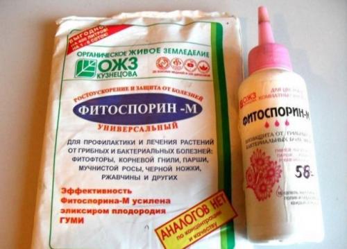 Обработка почвы фитоспорином осенью. Фитоспорин: как применять и для чего