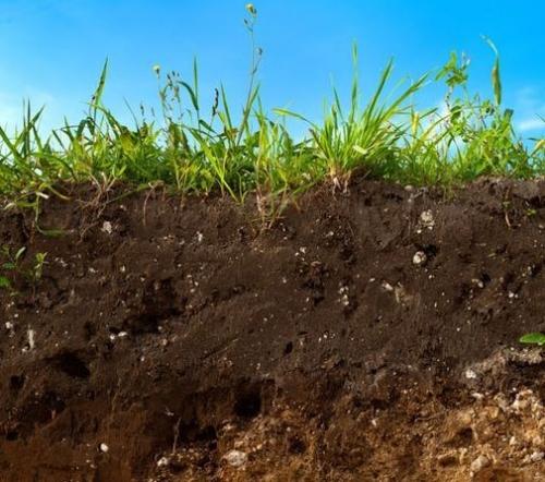 Как быстро вскопать целину. Целина под огород —, как разработать и как перекапывать землю
