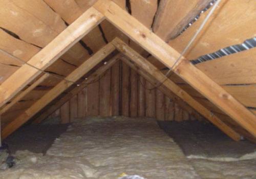 Уход за табаком в открытом грунте. Как правильно выращивать табак, пошаговая инструкция 07