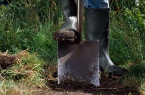 Как быстро вскопать целину. Целина под огород —, как разработать и как перекапывать землю