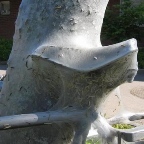 Чем обработать груши осенью от болезней и вредителей. Ржавчина 09 Чем обработать груши осенью от болезней и вредителей. Ржавчина 09