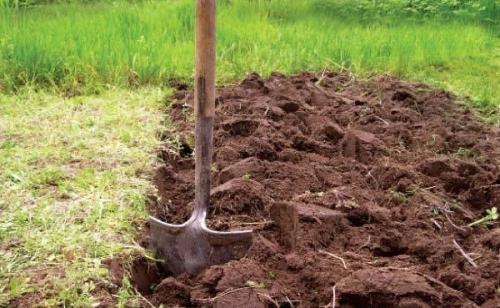 Как обрабатывать землю весной. Совет 4 : Как обработать землю перед посадкой