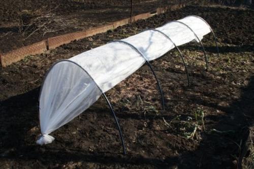 Самодельные теплицы под перец. Парник из полипропиленовых труб