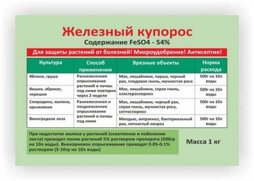 Обработка винограда железным купоросом осенью перед укрытием на зиму. Опрыскивание винограда осенью железным купоросом