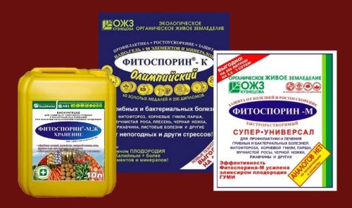 Обработка почвы фитоспорином осенью. Фитоспорин: как применять и для чего