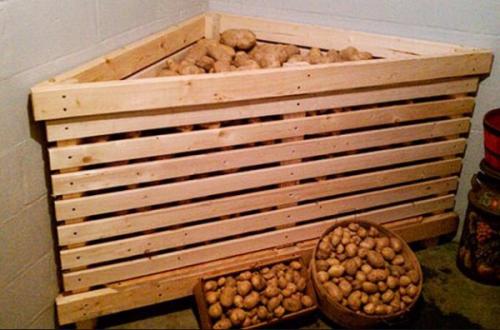 Ящик для картошки в погребе. Где и как хранить: способы хранения картофеля