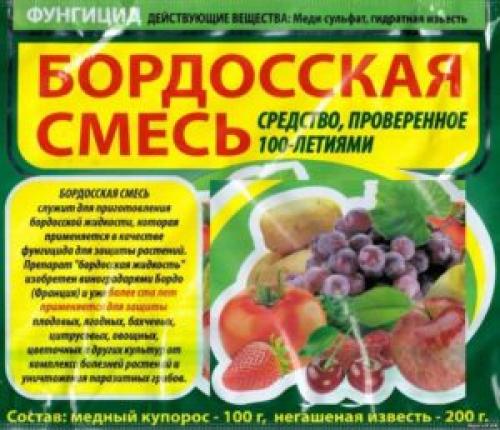 Сажистый налет на стволе яблони. Лишайник на стволе яблони, фото