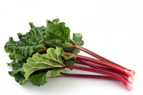 Что в огороде можно посадить в тени. Декоративные растения для тени 07 Что в огороде можно посадить в тени. Декоративные растения для тени 07