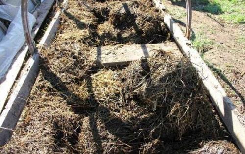 Как сделать парник своими руками для перцев. Как сделать парник для перцев своими руками