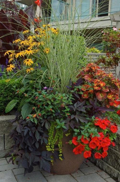 Интересные композиции в контейнерах 02