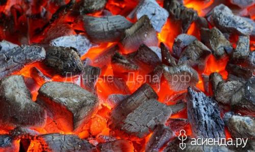 Древесный уголь, как удобрение. Применение древесного угля на огороде: как вносить подкормку в почву 09