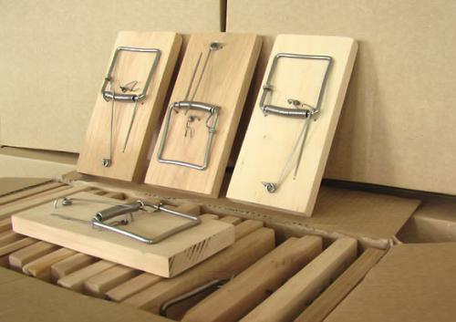 Мыши в грядках. Мыши в огороде: современные способы борьбы