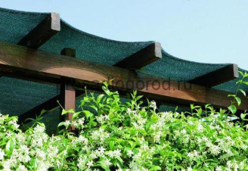 Затеняющие сетки для растений. Как выбрать затеняющую сетку? 02