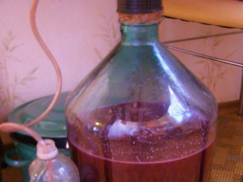 Как сделать сухое вино из винограда Изабелла. Вино из винограда Изабелла в домашних условиях — рецепт с добавлением воды