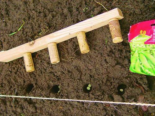 Приспособление для посадки свеклы. 