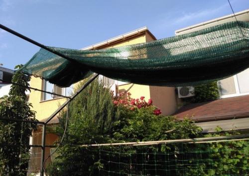 Листья смородины желтеют и сохнут, что делать. Почему желтеют и сохнут листья на смородине? Как защитить растения!?