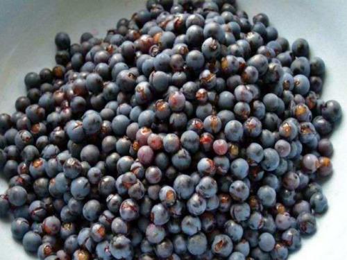 Как сделать сухое вино из винограда Изабелла. Вино из винограда Изабелла в домашних условиях — рецепт с добавлением воды