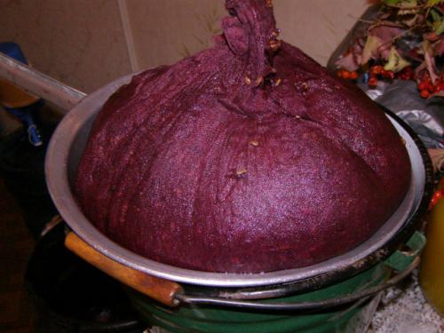 Как сделать сухое вино из винограда Изабелла. Вино из винограда Изабелла в домашних условиях — рецепт с добавлением воды