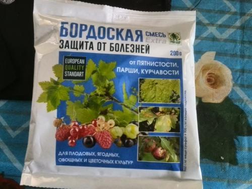 Обработка винограда осенью. Чем обработать виноград осенью от мучнистой росы