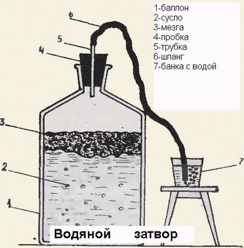 Через, какое время после дождя можно собирать виноград на вино. Можно ли собирать виноград для вина после дождя