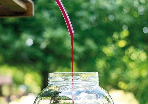 Через, какое время после дождя можно собирать виноград на вино. Можно ли собирать виноград для вина после дождя