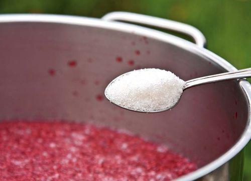 Через, какое время после дождя можно собирать виноград на вино. Можно ли собирать виноград для вина после дождя