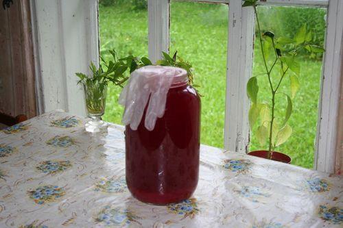 Через, какое время после дождя можно собирать виноград на вино. Можно ли собирать виноград для вина после дождя