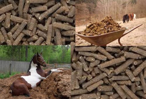 Концентрат конского навоза. В чем особенности этого удобрения