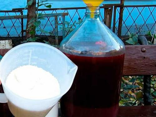 Как сделать сухое вино из винограда Изабелла. Вино из винограда Изабелла в домашних условиях — рецепт с добавлением воды