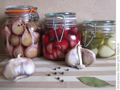 Приспособление для посадки чеснока. Супер приспособление для посадки чеснока