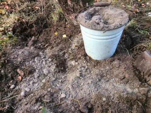 Чем подкормить грушу осенью для хорошей зимовки и обильного плодоношения