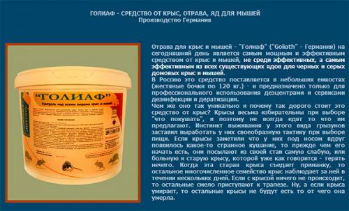 Как избавиться от мышей в гараже. Мыши в гараже – откуда они берутся?