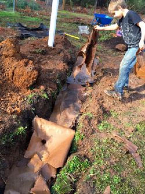 Посадка малины направление рядов. Выбор участка для посадки малины 06 Посадка малины направление рядов. Выбор участка для посадки малины 06