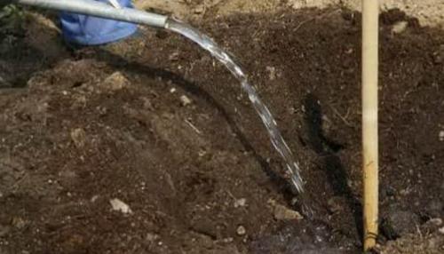 В, каком месяце сажать грушу. Как сажать саженцы яблони и груши в саду (с видео)