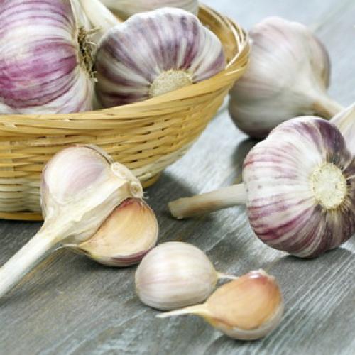 Сколько нужно чеснока на 10 соток. Подготовка почвы 01 Сколько нужно чеснока на 10 соток. Подготовка почвы 01