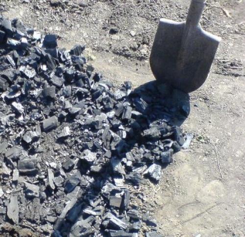 Древесный уголь, как удобрение. Применение древесного угля на огороде: как вносить подкормку в почву