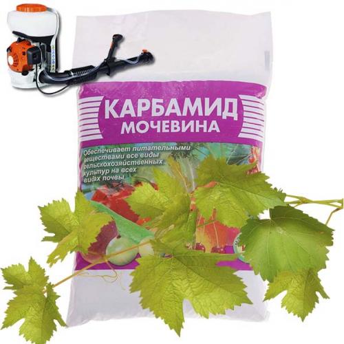 Подготовка винограда к зиме в Ленинградской области. Осенняя обработка и опрыскивание винограда