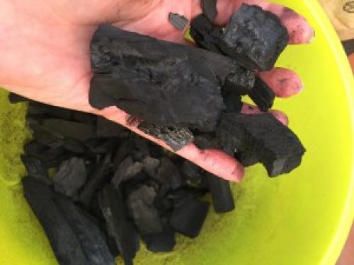 Мульчирование древесным углем. УГОЛЬ – ПОЛЕЗНЫЕ СВОЙСТВА ДЛЯ ПОЧВЫ