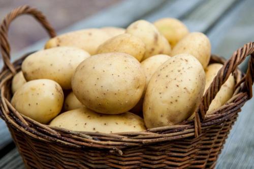 При скольки градусах замерзает картофель. При, какой температуре замерзает картофель 02 При скольки градусах замерзает картофель. При, какой температуре замерзает картофель 02