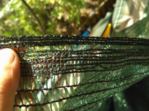 Листья смородины желтеют и сохнут, что делать. Почему желтеют и сохнут листья на смородине? Как защитить растения!?