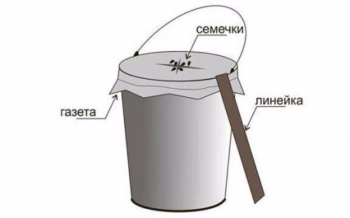 Как избавиться от мышей в саду и огороде. Как избавиться от мышей и крыс на даче навсегда? Рабочие методы и средства против грызунов