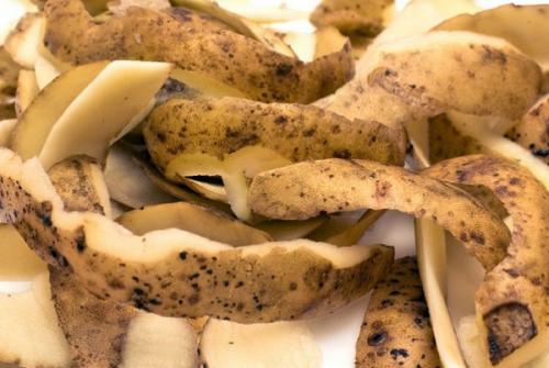 Картофельные очистки для малины. Картофельные очистки — уникальное удобрение для малины