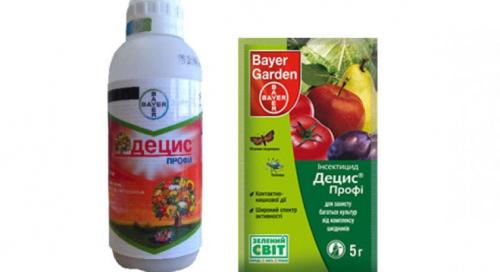 Как бороться с гусеницами на капусте народными средствами. Химия против гусениц 03 Как бороться с гусеницами на капусте народными средствами. Химия против гусениц 03