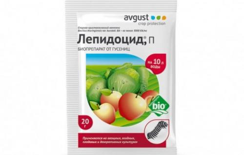 Как бороться с гусеницами на капусте народными средствами. Химия против гусениц 02 Как бороться с гусеницами на капусте народными средствами. Химия против гусениц 02