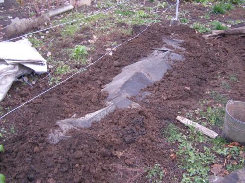 Как укрыть молодой виноград на зиму. Как укрывать виноград на зиму? 5 вариантов подготовки к зимовке.