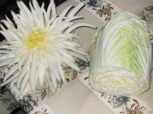 Как вырастить дома китайскую капусту. Биологически характеристики вида 03 Как вырастить дома китайскую капусту. Биологически характеристики вида 03