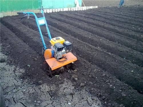 Нужно ли пахать огород осенью. Нужно ли пахать огород под зиму: как и когда правильно перепахивать землю осенью